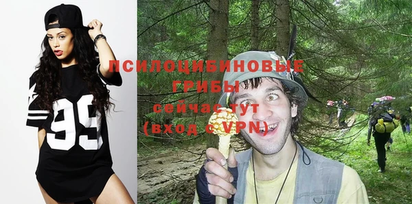 наркотики Алексин