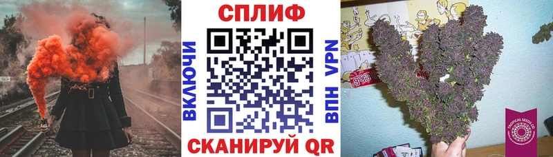 Бошки марихуана планчик  дарнет шоп  Балашиха 